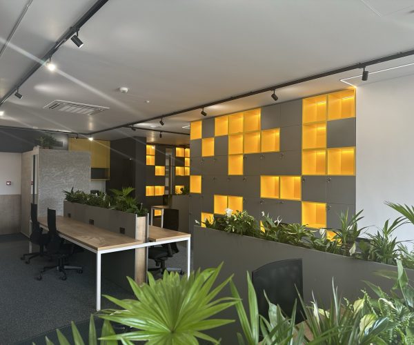 Spațiul de coworking